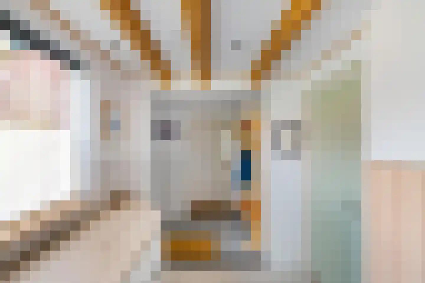 J. Groenstraat 6 Vierhuizen thumbnail 24