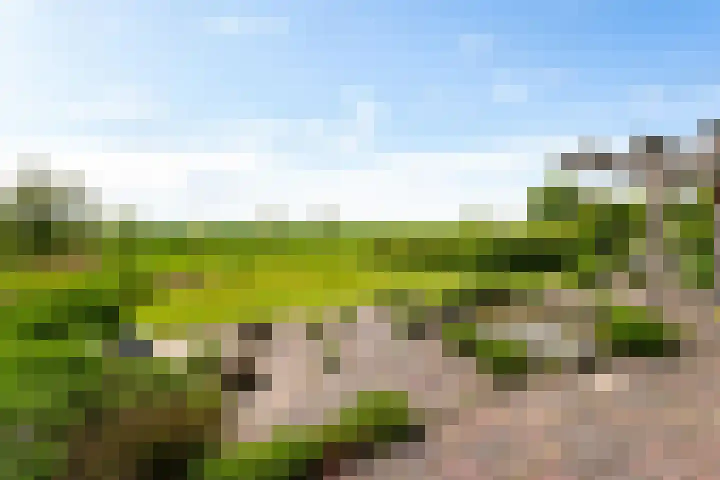 J. Groenstraat 6 Vierhuizen thumbnail 25