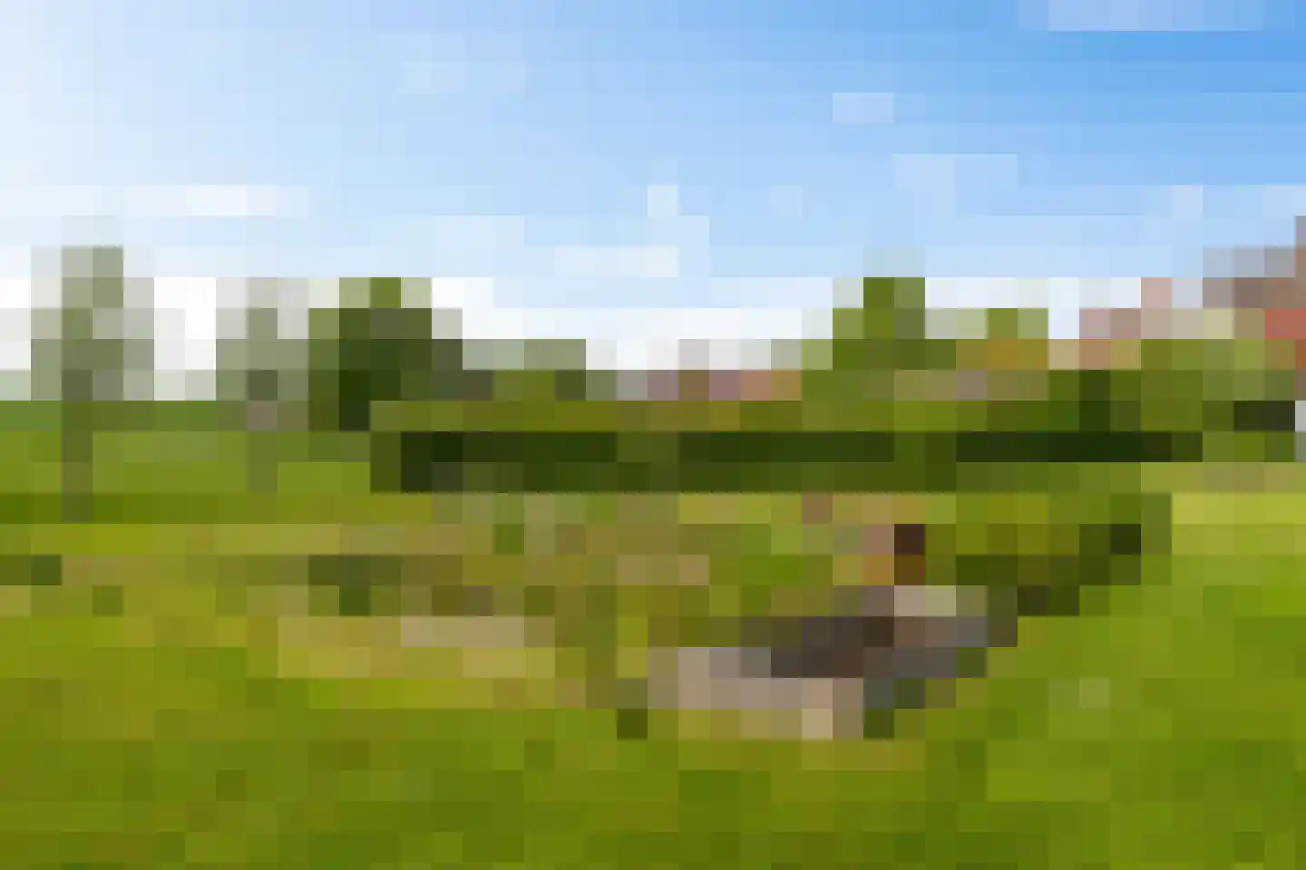 J. Groenstraat 6 Vierhuizen thumbnail 29
