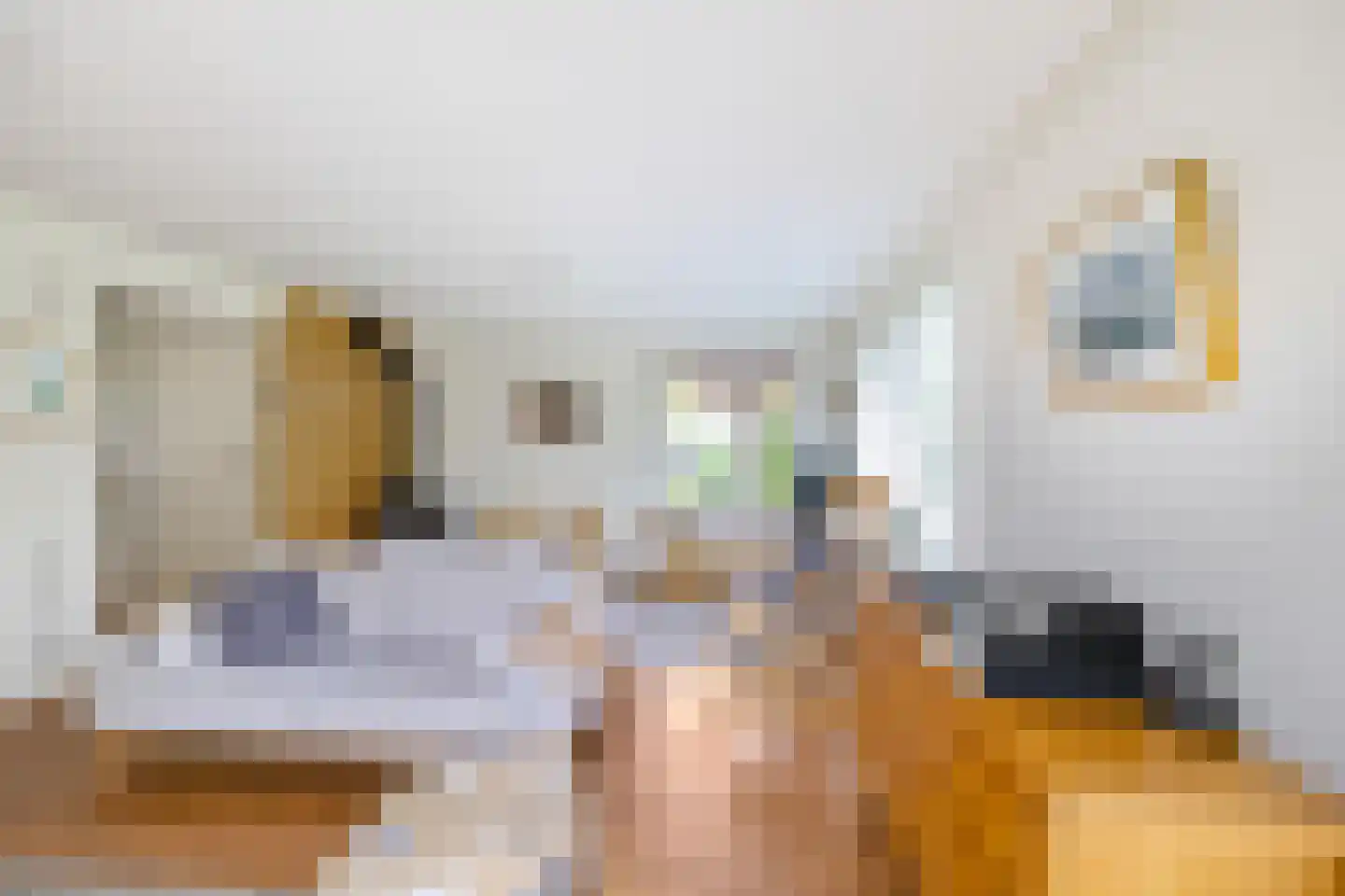 J. Groenstraat 6 Vierhuizen thumbnail 8