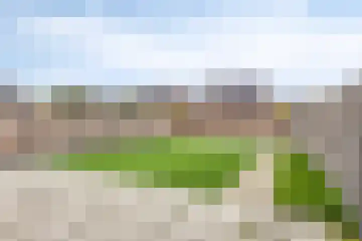 J. Grootendorststraat 13 Hedel thumbnail 11