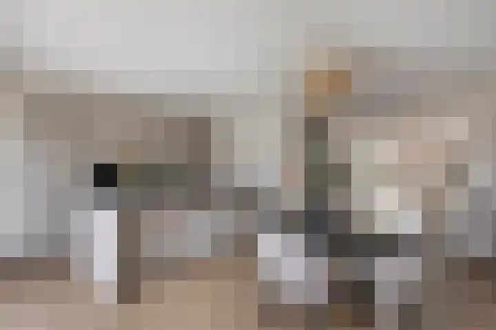 J. Grootendorststraat 13 Hedel thumbnail 4