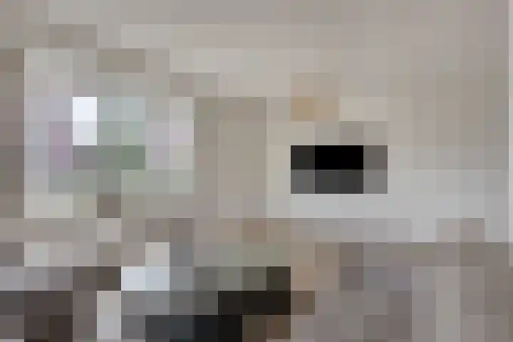 J. Grootendorststraat 13 Hedel thumbnail 6