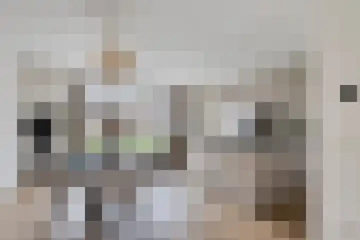 J. Grootendorststraat 13 Hedel thumbnail 7