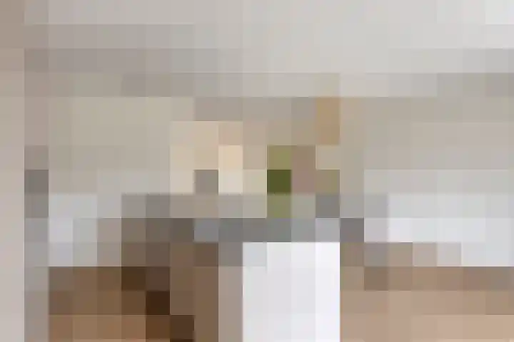 J. Grootendorststraat 13 Hedel thumbnail 9