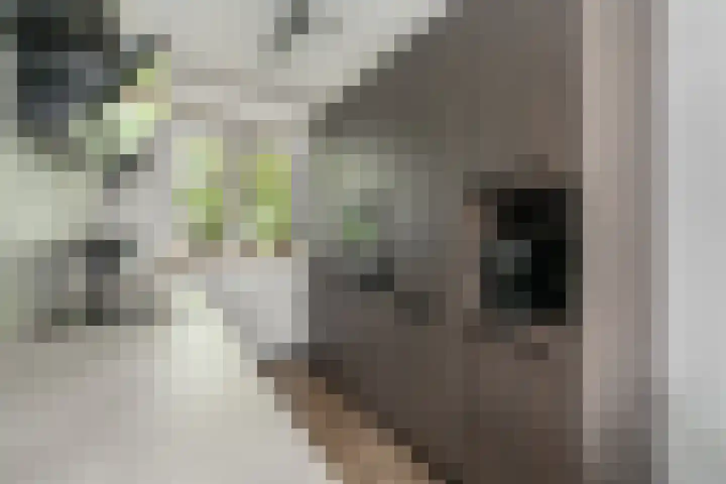J. Grootendorststraat 29 Hedel thumbnail 13