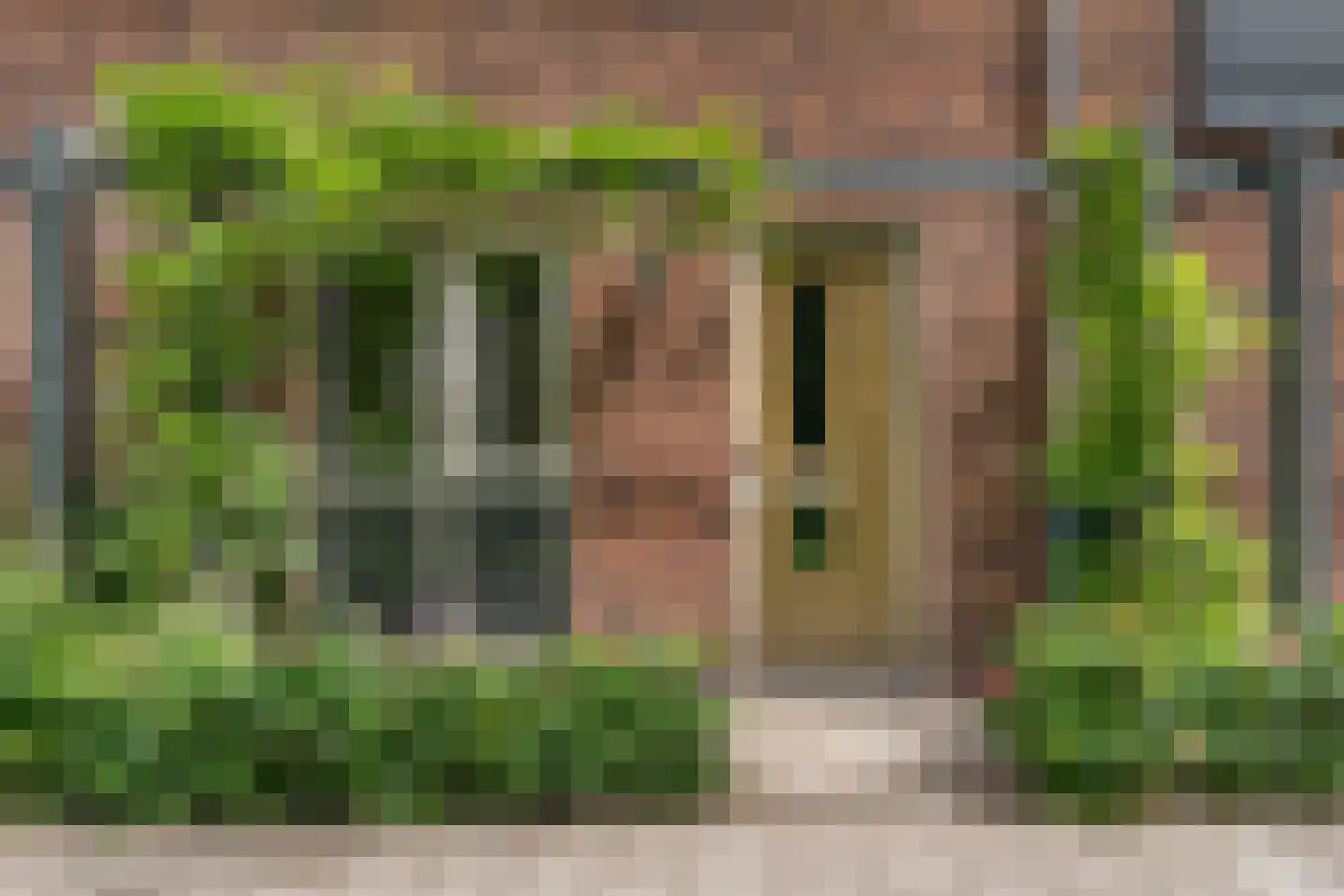 J. Grootendorststraat 29 Hedel thumbnail 30