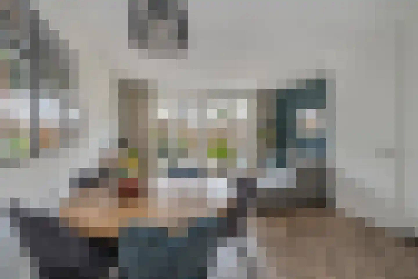 J. Grootendorststraat 29 Hedel thumbnail 8