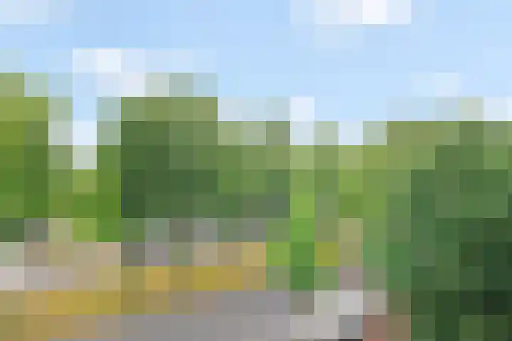 J.H.A. Schaperlaan 11 Rijswijk thumbnail 10