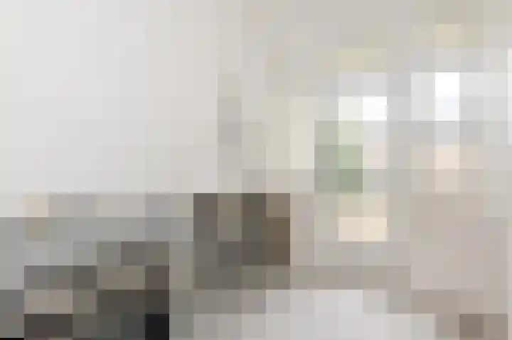 J.H.A. Schaperlaan 11 Rijswijk thumbnail 11