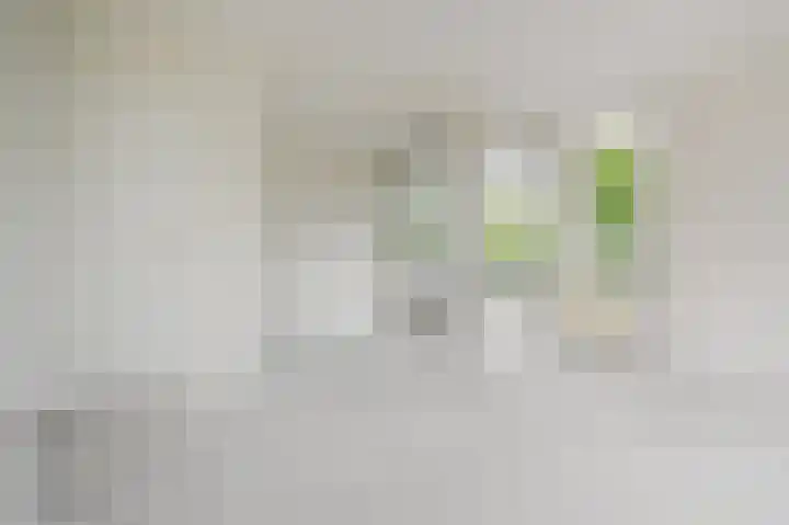J.H.A. Schaperlaan 11 Rijswijk thumbnail 6