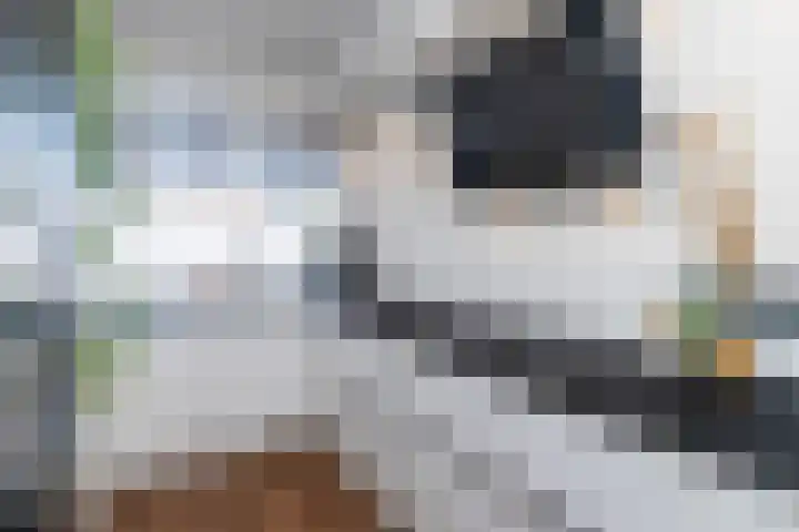 J.H.A. Schaperlaan 32 Rijswijk thumbnail 16