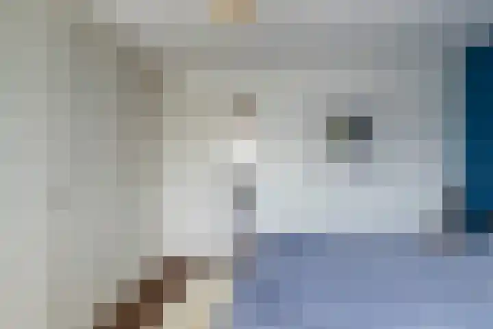 J.H.A. Schaperlaan 32 Rijswijk thumbnail 18