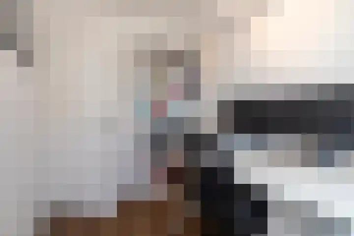 J.H.A. Schaperlaan 32 Rijswijk thumbnail 22