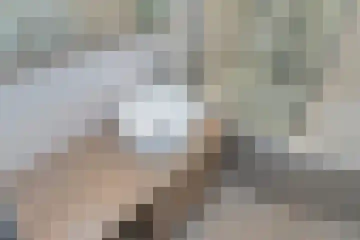 J.H.A. Schaperlaan 32 Rijswijk thumbnail 28