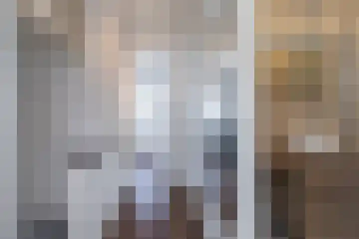 J.H.A. Schaperlaan 32 Rijswijk thumbnail 29