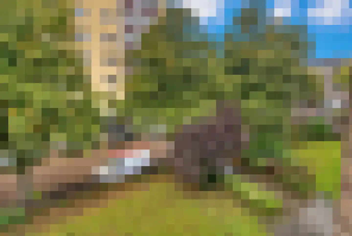 J.H.A. Schaperlaan 33 Rijswijk thumbnail 13