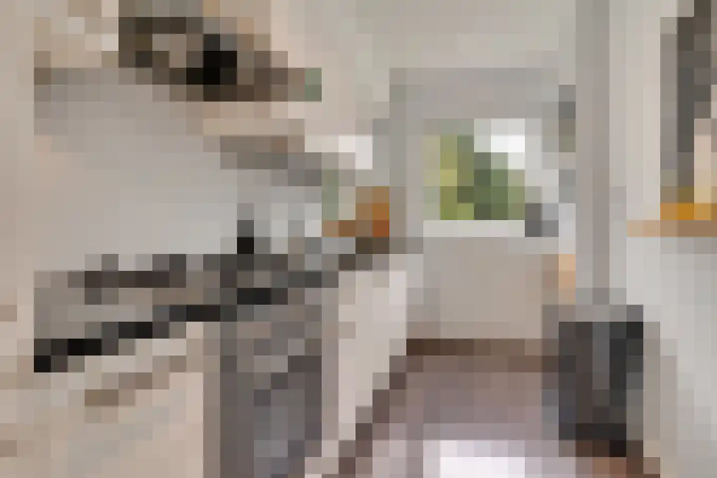 J.H.A. Schaperlaan 33 Rijswijk thumbnail 18
