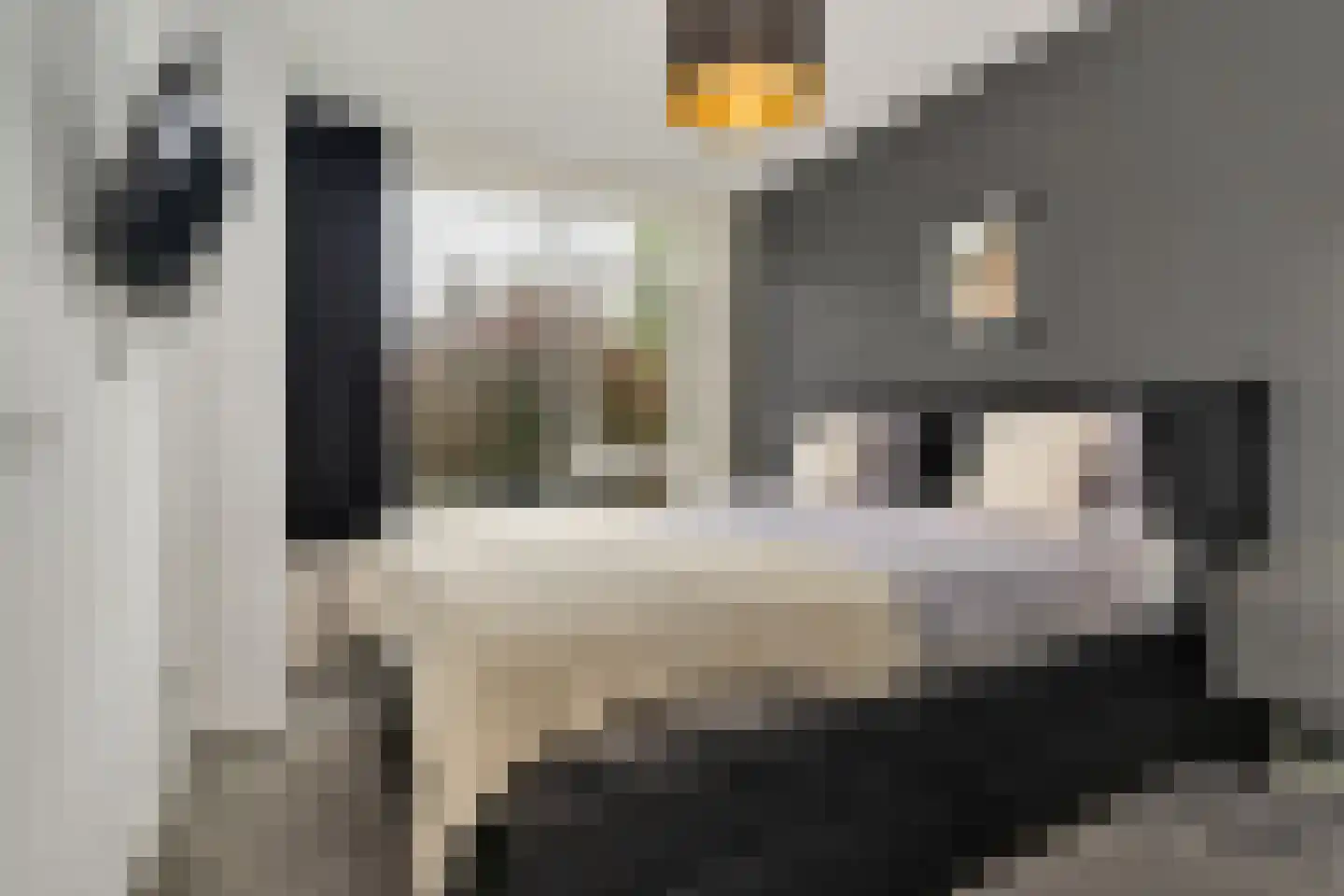 J.H.A. Schaperlaan 33 Rijswijk thumbnail 20