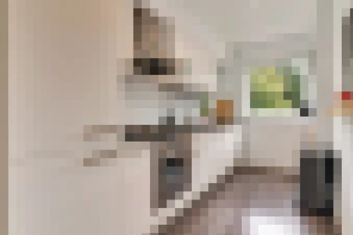 J.H.A. Schaperlaan 33 Rijswijk thumbnail 4
