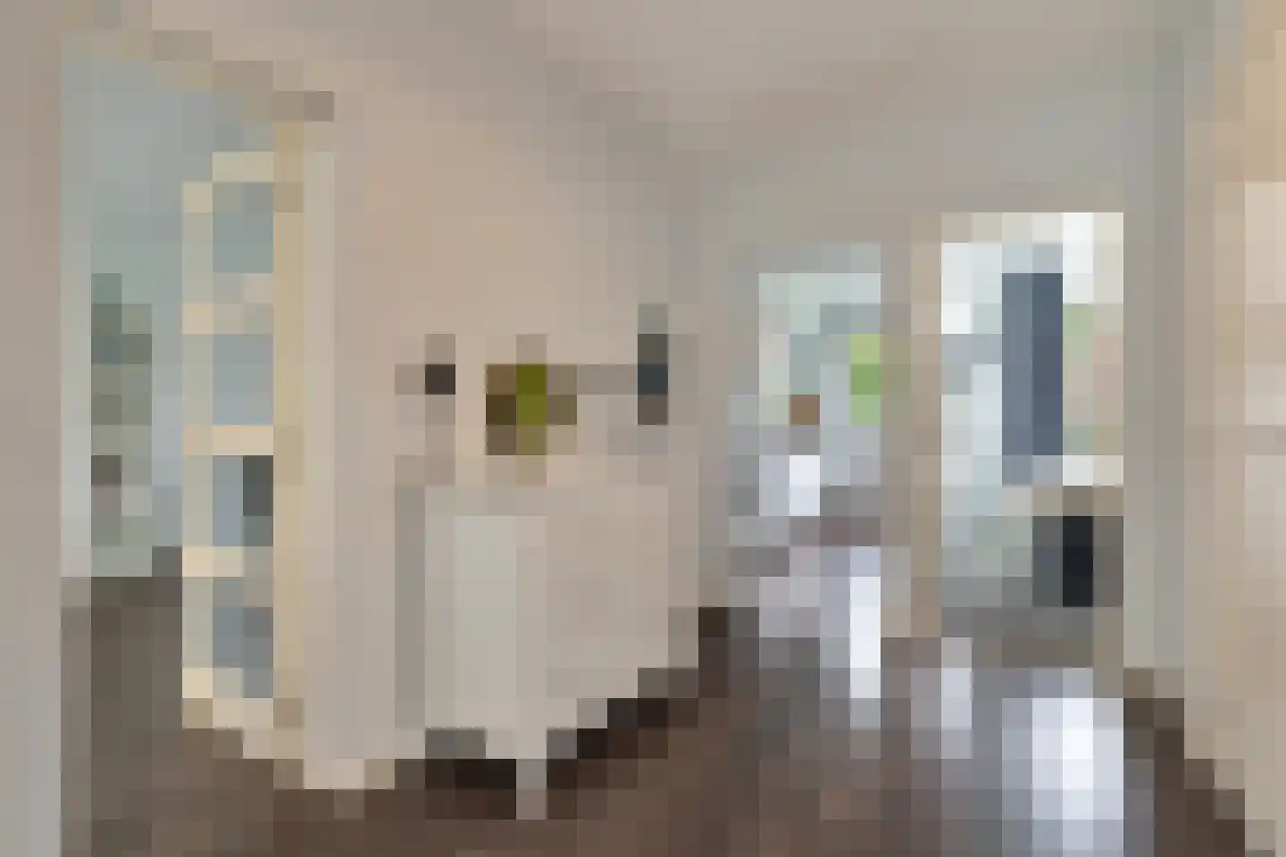 J.H.A. Schaperlaan 33 Rijswijk thumbnail 9