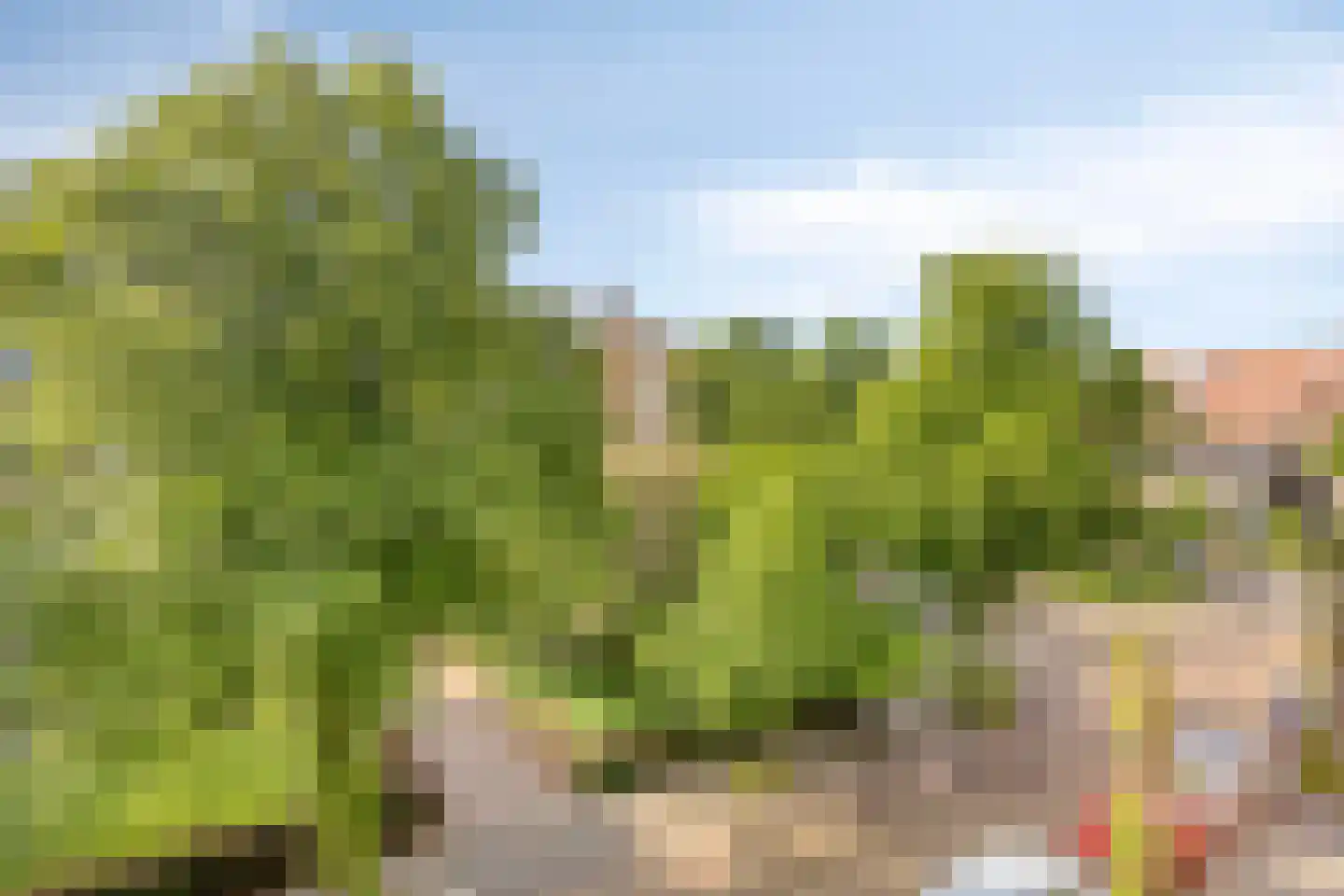 J.H.A. Schaperlaan 34 Rijswijk thumbnail 38