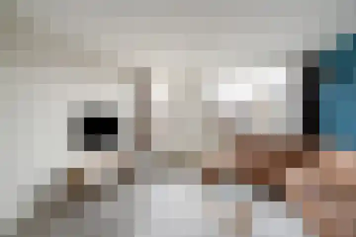 J.H.A. Schaperlaan 36 Rijswijk thumbnail 11