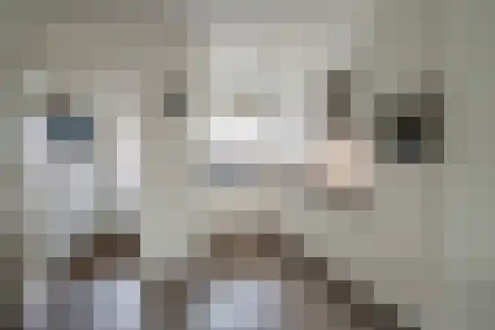J.H.A. Schaperlaan 36 Rijswijk thumbnail 15