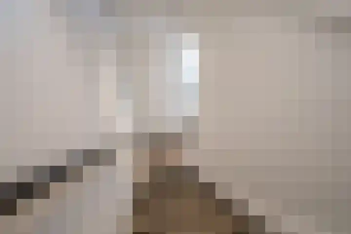J.H.A. Schaperlaan 36 Rijswijk thumbnail 20