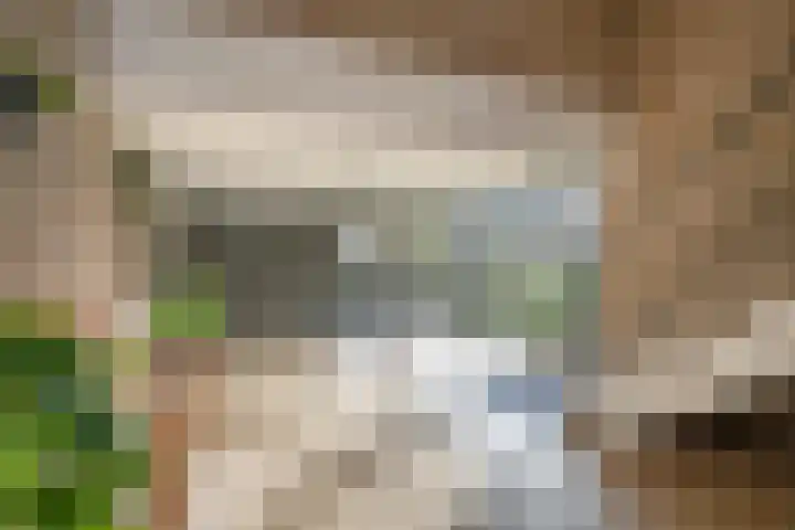 J.H.A. Schaperlaan 36 Rijswijk thumbnail 6