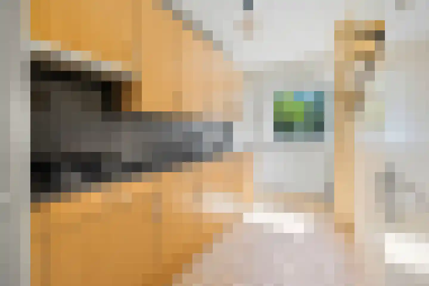 J.H.A. Schaperlaan 45 Rijswijk thumbnail 14