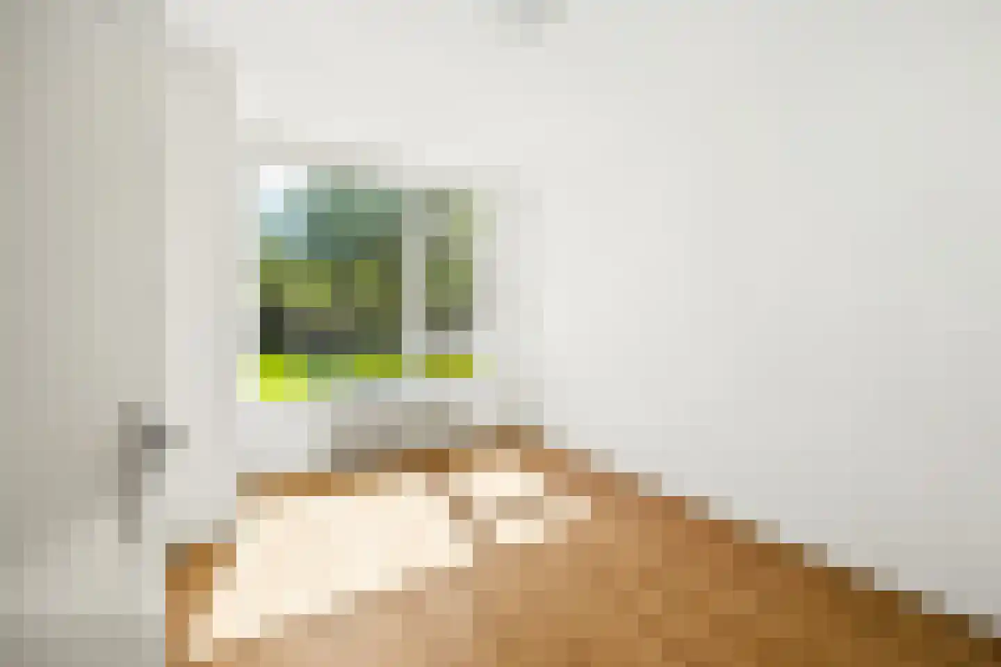 J.H.A. Schaperlaan 45 Rijswijk thumbnail 19