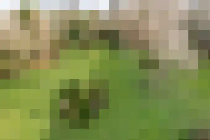 J.H.A. Schaperlaan 67 Rijswijk thumbnail 14