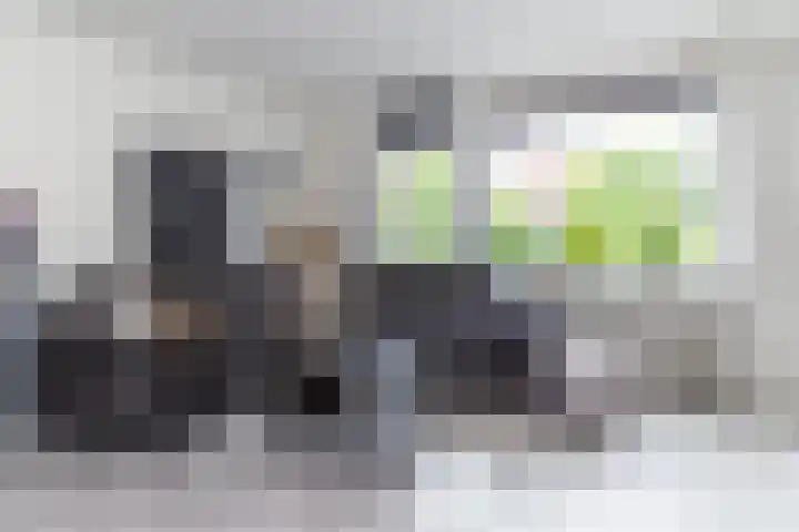 J.H.A. Schaperlaan 69 Rijswijk thumbnail 11