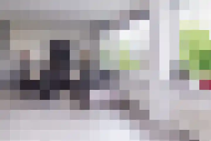 J.H.A. Schaperlaan 69 Rijswijk thumbnail 12