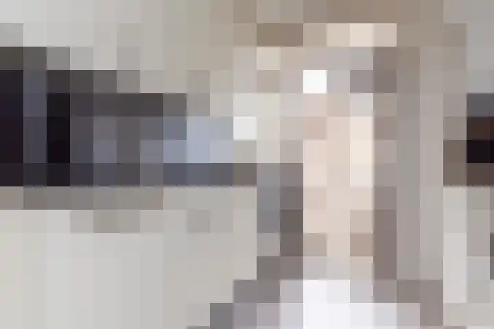 J.H.A. Schaperlaan 69 Rijswijk thumbnail 14