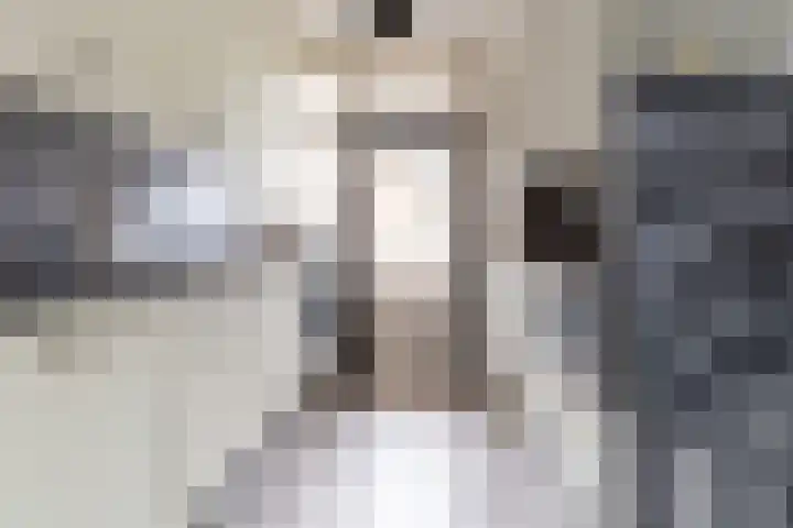 J.H.A. Schaperlaan 69 Rijswijk thumbnail 17