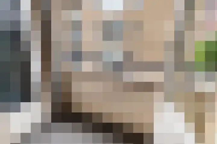 J.H.A. Schaperlaan 69 Rijswijk thumbnail 19