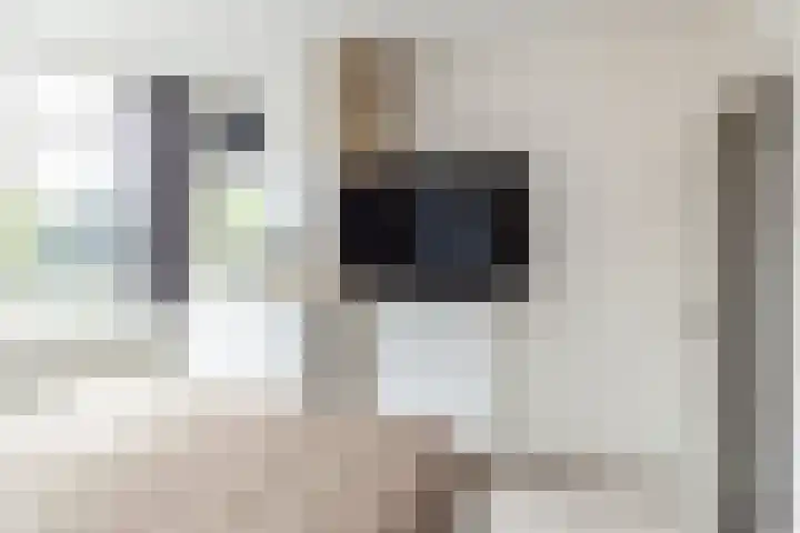 J.H.A. Schaperlaan 69 Rijswijk thumbnail 21