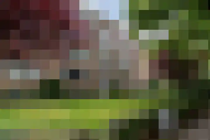 J.H.A. Schaperlaan 69 Rijswijk thumbnail 33