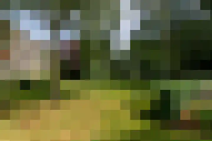 J.H.A. Schaperlaan 69 Rijswijk thumbnail 34