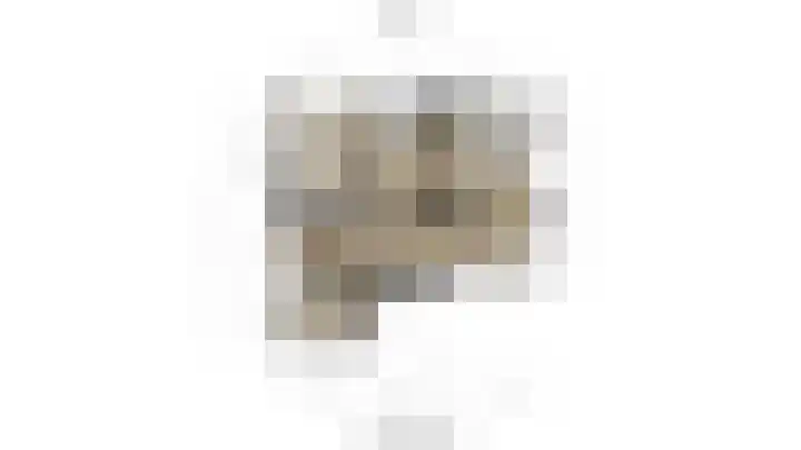 J.H.A. Schaperlaan 69 Rijswijk thumbnail 36