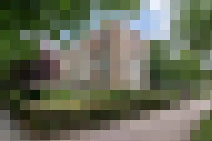 J.H.A. Schaperlaan 69 Rijswijk thumbnail 38