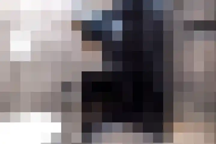 J.H.A. Schaperlaan 69 Rijswijk thumbnail 4