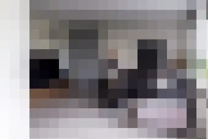 J.H.A. Schaperlaan 69 Rijswijk thumbnail 7