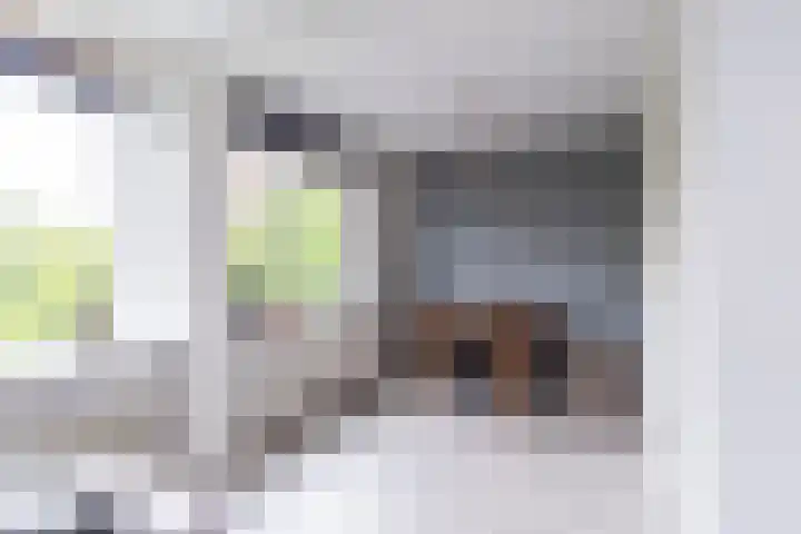 J.H.A. Schaperlaan 69 Rijswijk thumbnail 9