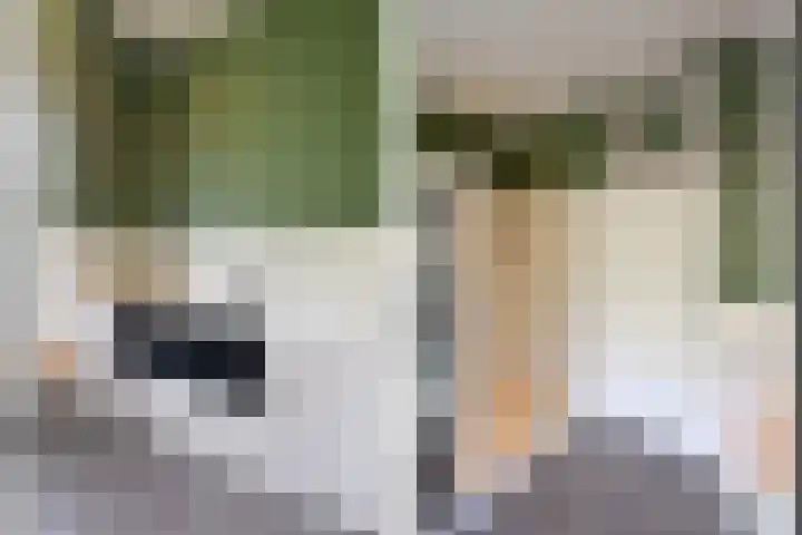 J.H.B. Koekkoekstraat 19 Hilversum thumbnail 19
