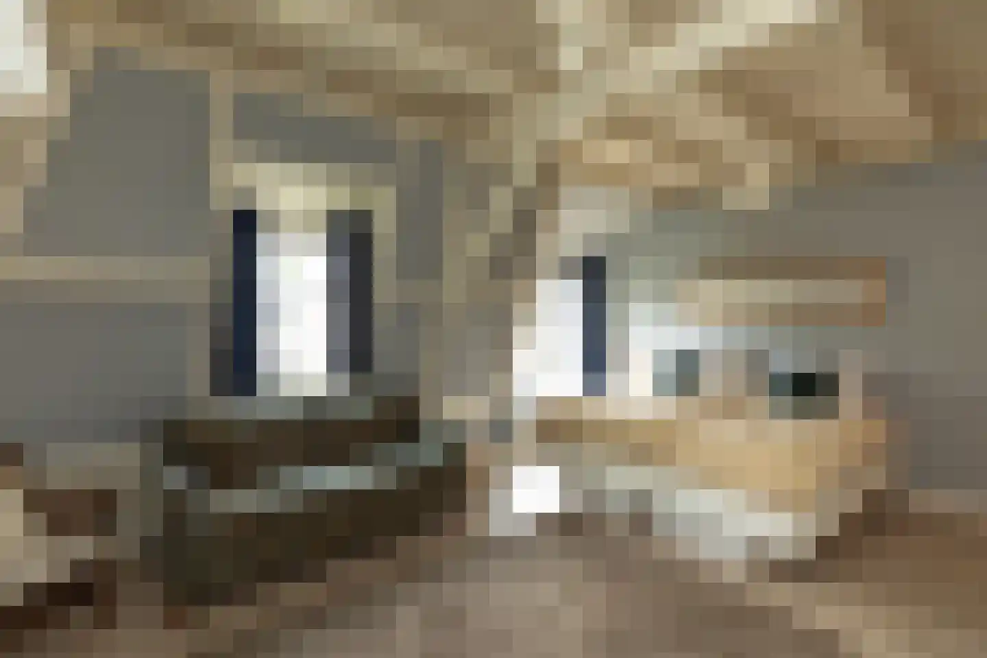 J.H.B. Koekkoekstraat 40 Hilversum thumbnail 23