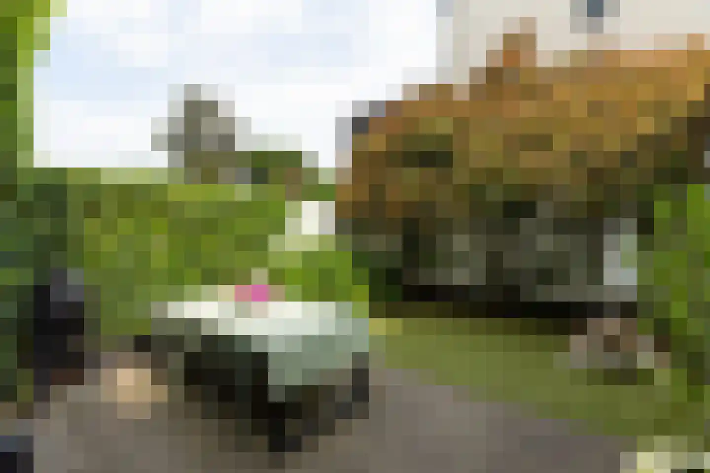 J.H.B. Koekkoekstraat 40 Hilversum thumbnail 29