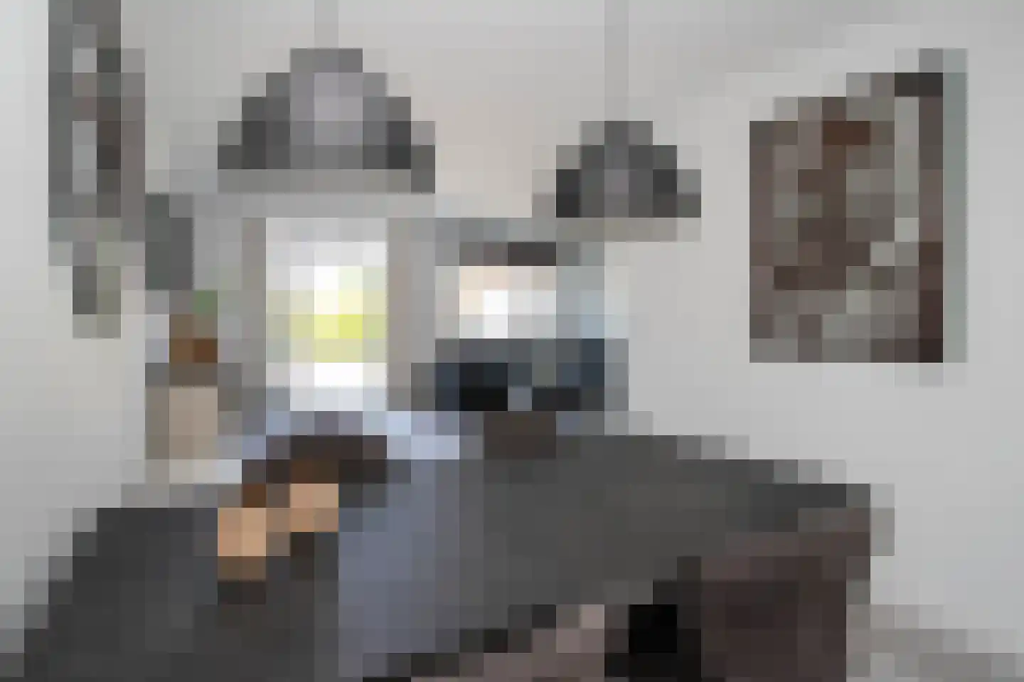 J.H.Burgerlaan 18 's-Graveland thumbnail 11